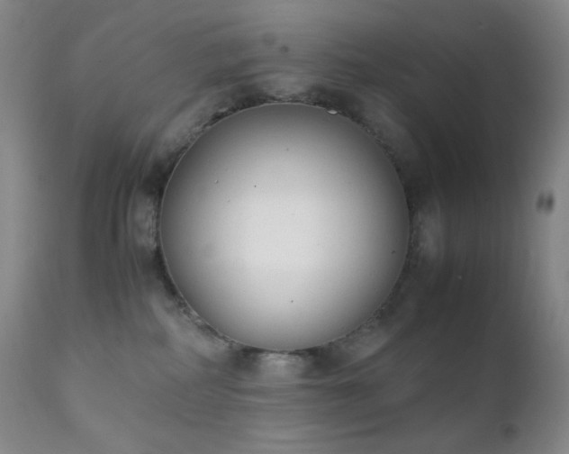X0000111150234200906301344