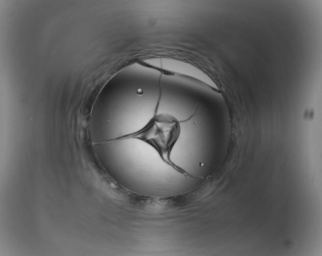 X0000111150235200906301344