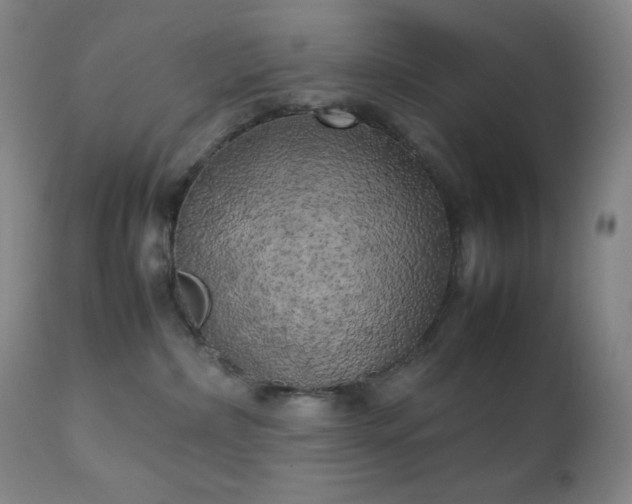 X0000111150236200906301344