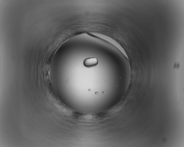 X0000111150237200906301344