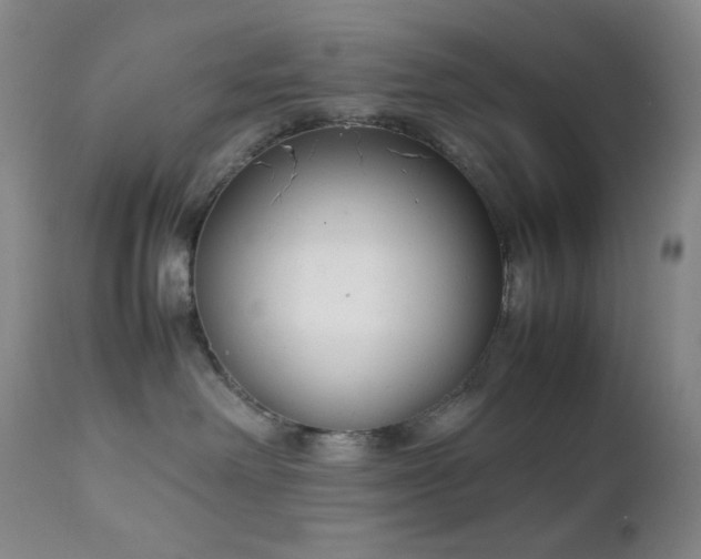 X0000111150238200906301344