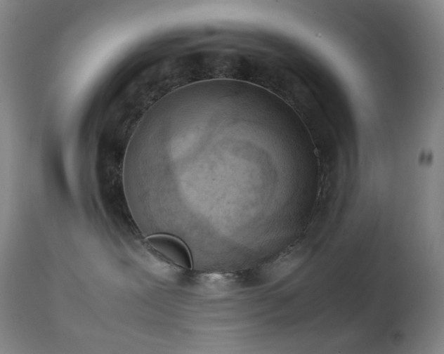 X0000111150239200906301344