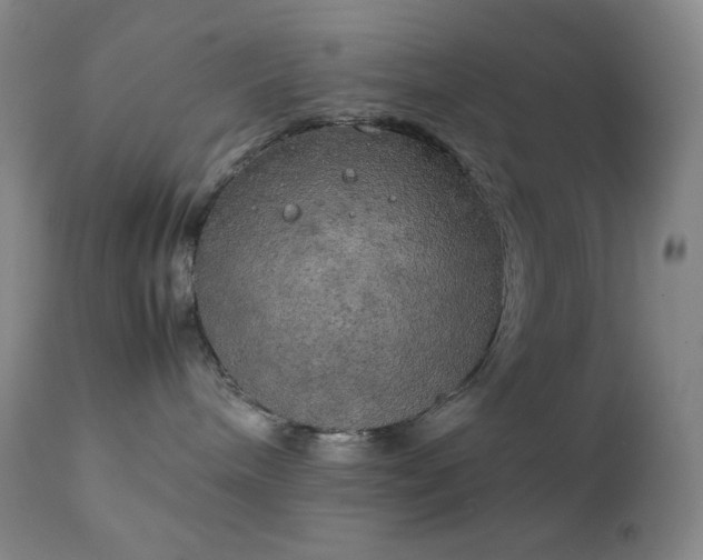 X0000111150240200906301344