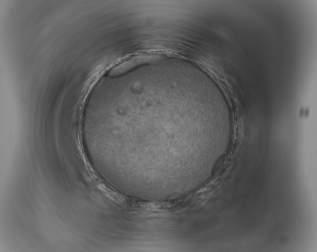 X0000111150241200906301343