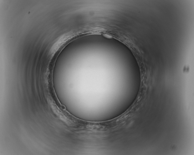 X0000111150242200906301343