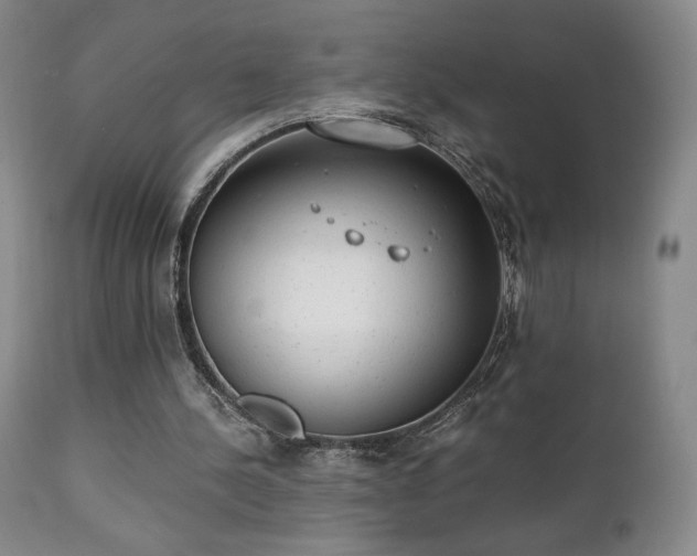 X0000111150244200906301343