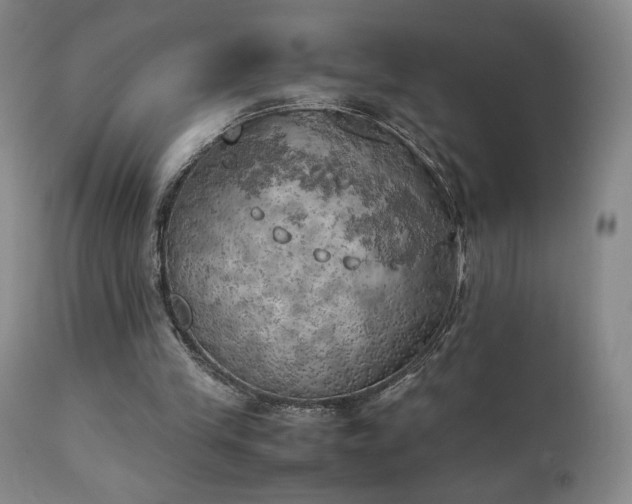 X0000111150245200906301344
