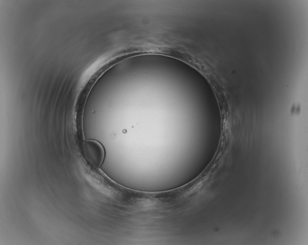 X0000111150246200906301344