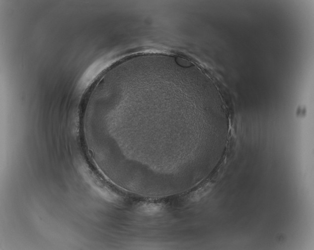 X0000111150247200906301344
