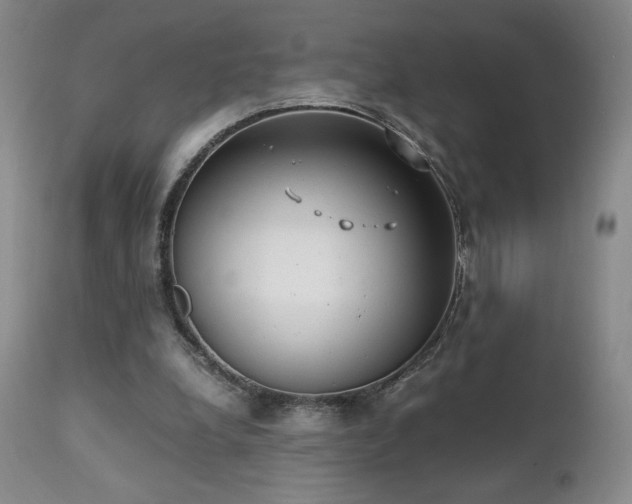 X0000111150248200906301344