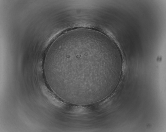 X0000111150249200906301344