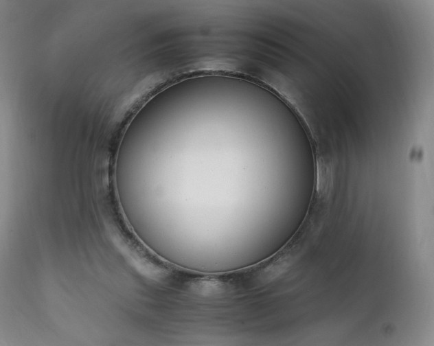 X0000111150253200906301344