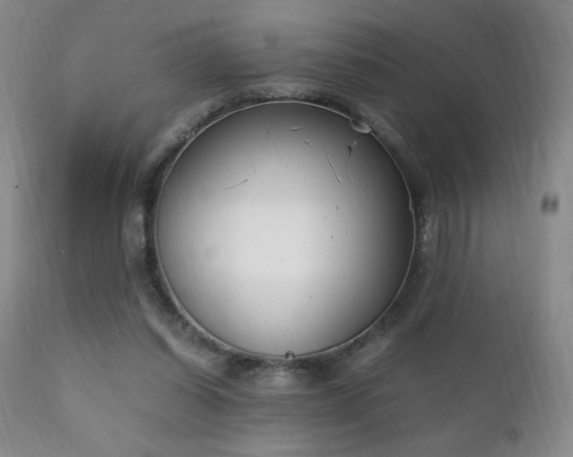 X0000111150254200906301344