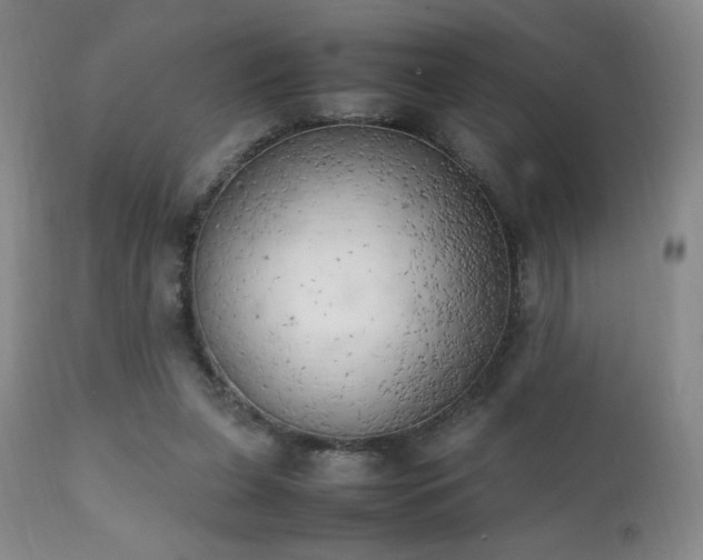 X0000111150255200906301344