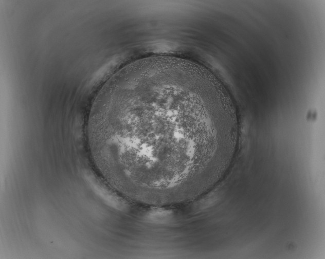 X0000111150257200906301344