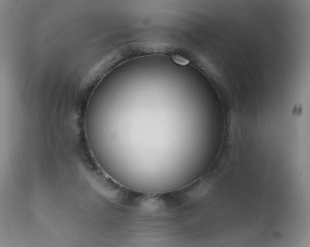 X0000111150258200906301344