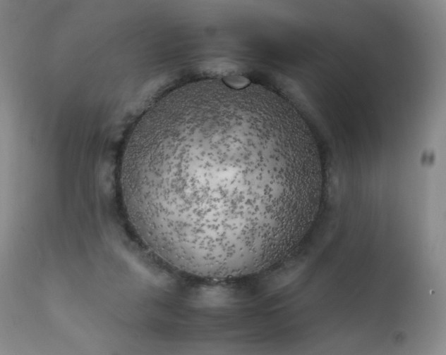 X0000111150259200906301344