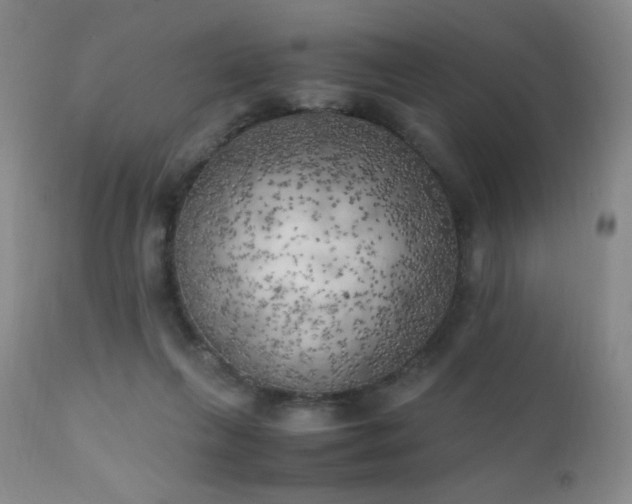 X0000111150263200906301344