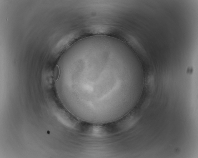 X0000111150264200906301344