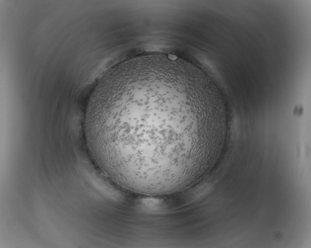 X0000111150265200906301344