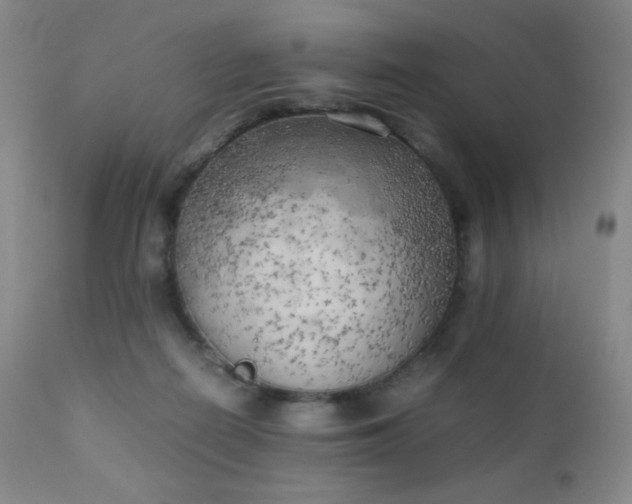 X0000111150266200906301344