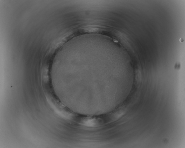 X0000111150267200906301344