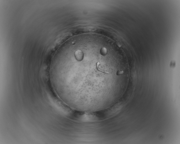X0000111150270200906301344