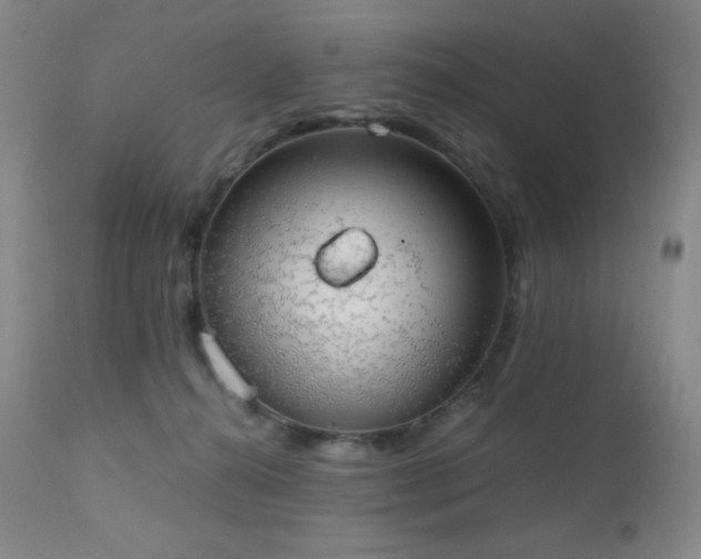 X0000111150272200906301344