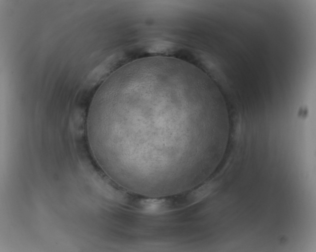 X0000111150273200906301344
