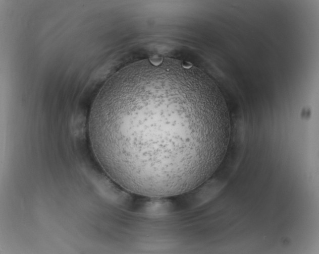 X0000111150274200906301344