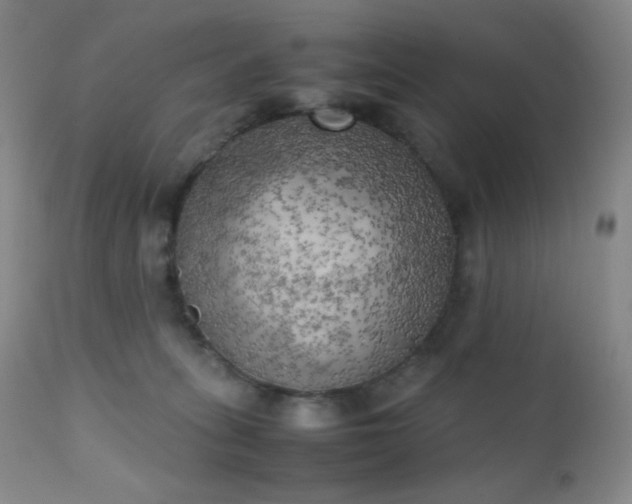 X0000111150275200906301344
