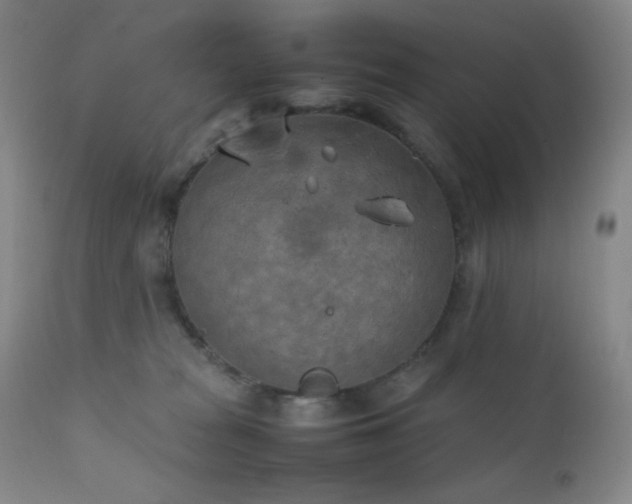 X0000111150277200906301344