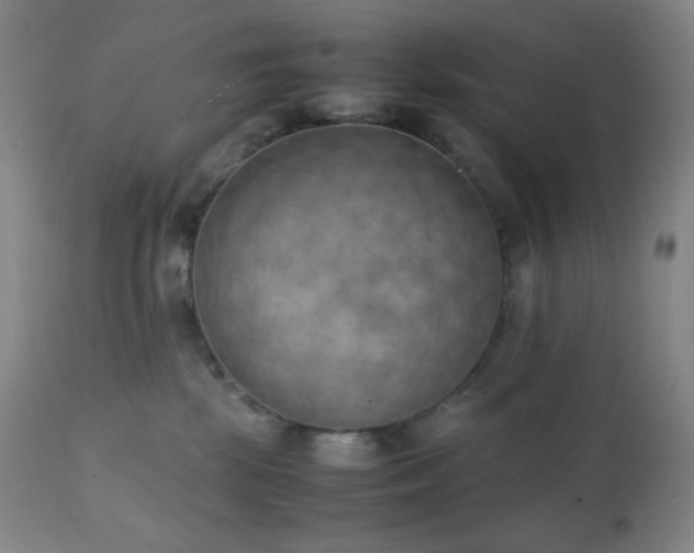 X0000111150281200906301344