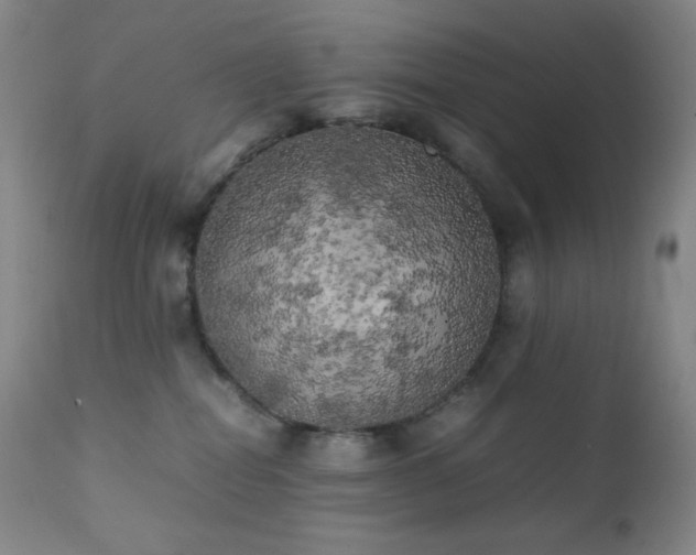 X0000111150282200906301344