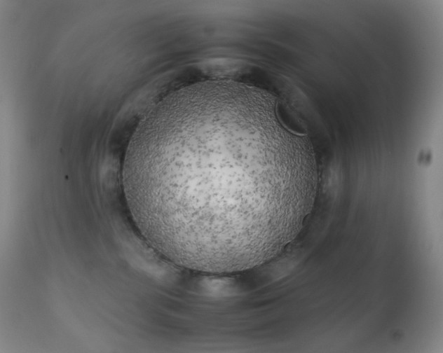 X0000111150283200906301344