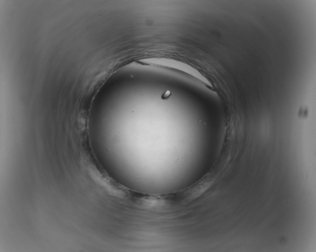 X0000111150284200906301344