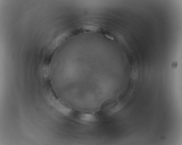X0000111150285200906301344