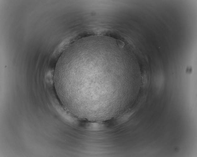 X0000111150286200906301344