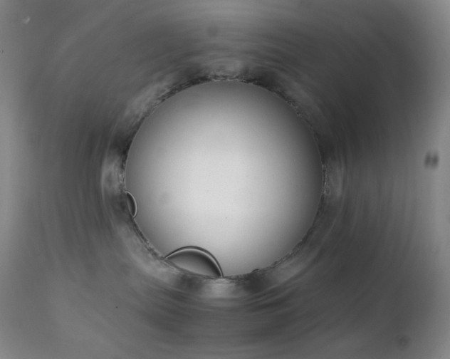 X0000111150287200906301344
