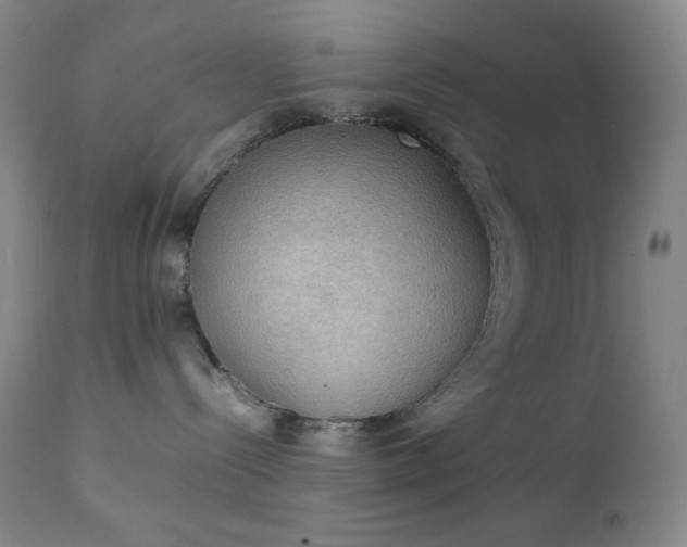 X0000111150288200906301344