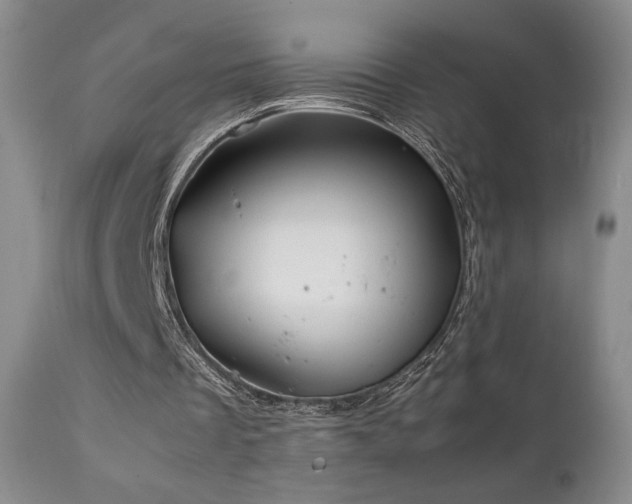 X0000111150289200906301343