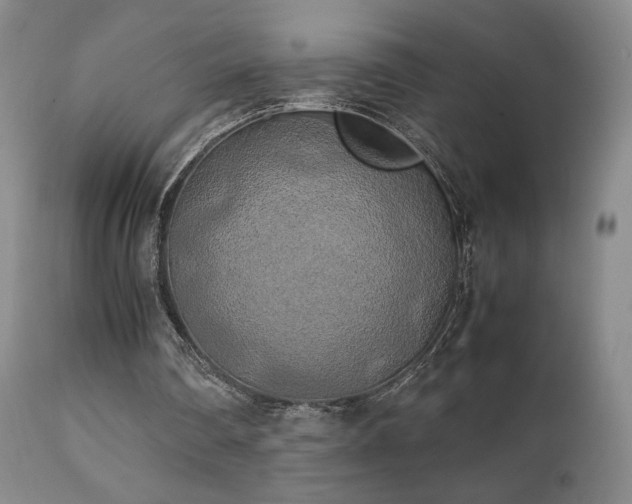 X0000111150290200906301343