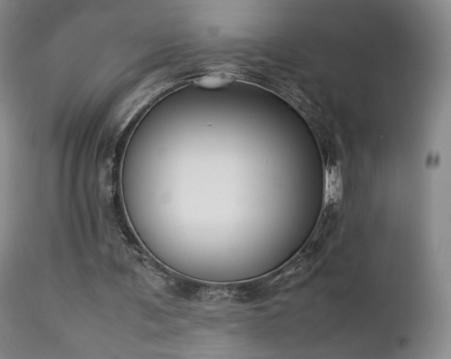 X0000111150291200906301343