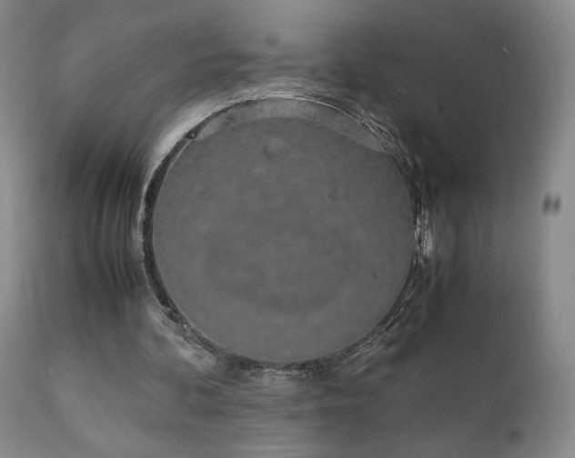 X0000111150292200906301343
