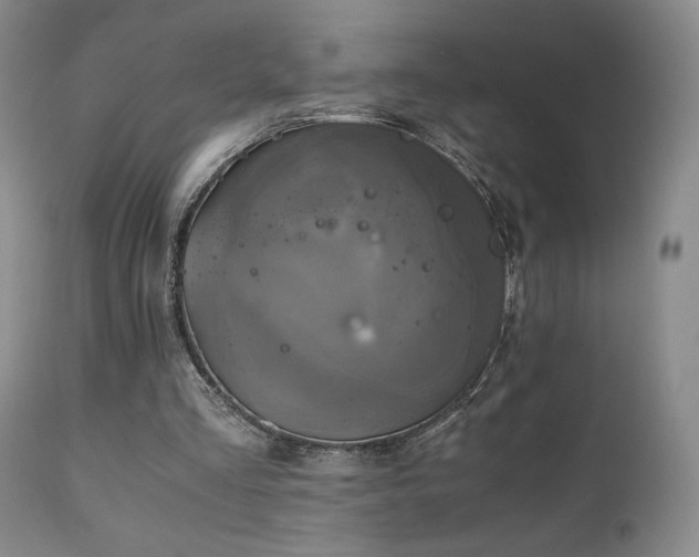 X0000111150293200906301343