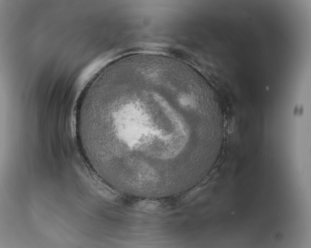 X0000111150294200906301343