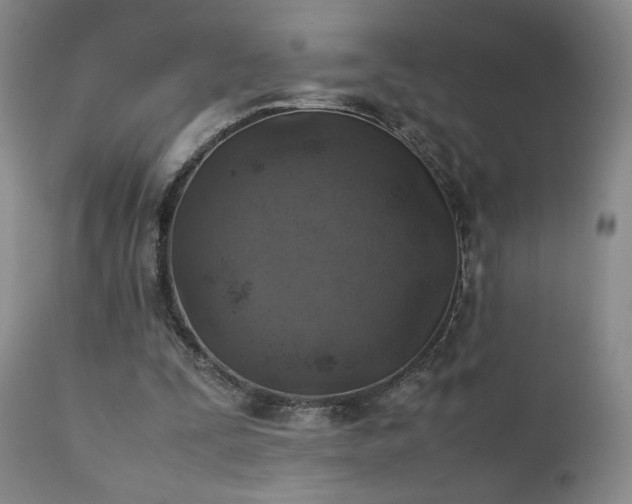 X0000111150295200906301343