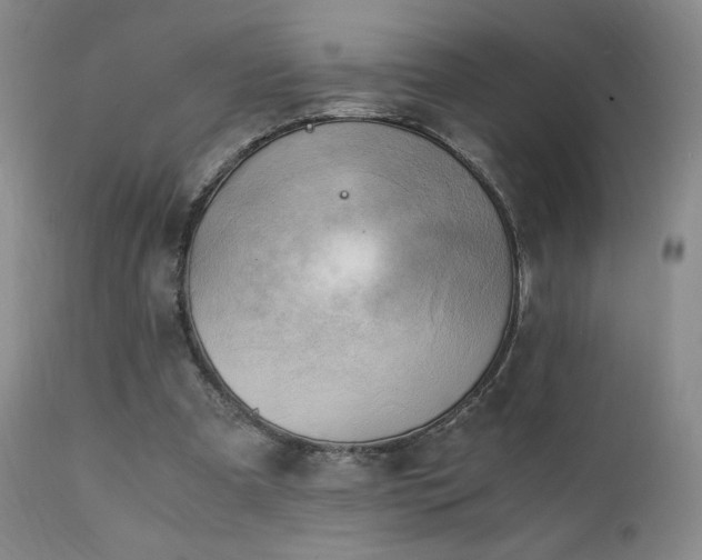 X0000111150297200906301343