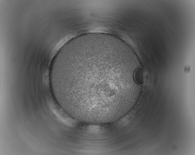 X0000111150298200906301343
