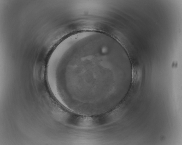 X0000111150301200906301343